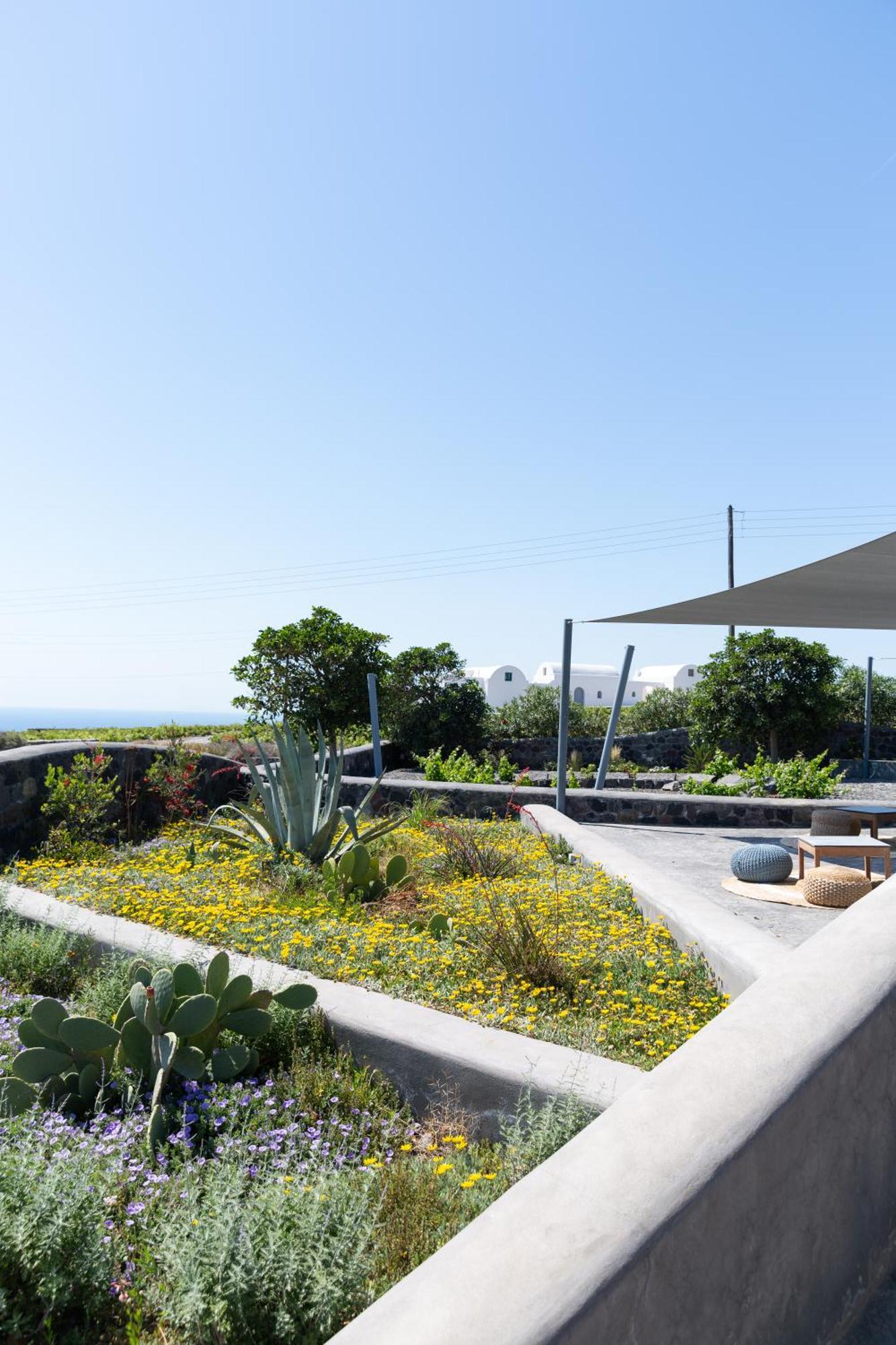 Soil Of Sun Luxury Villas Megalochori  Exteriör bild
