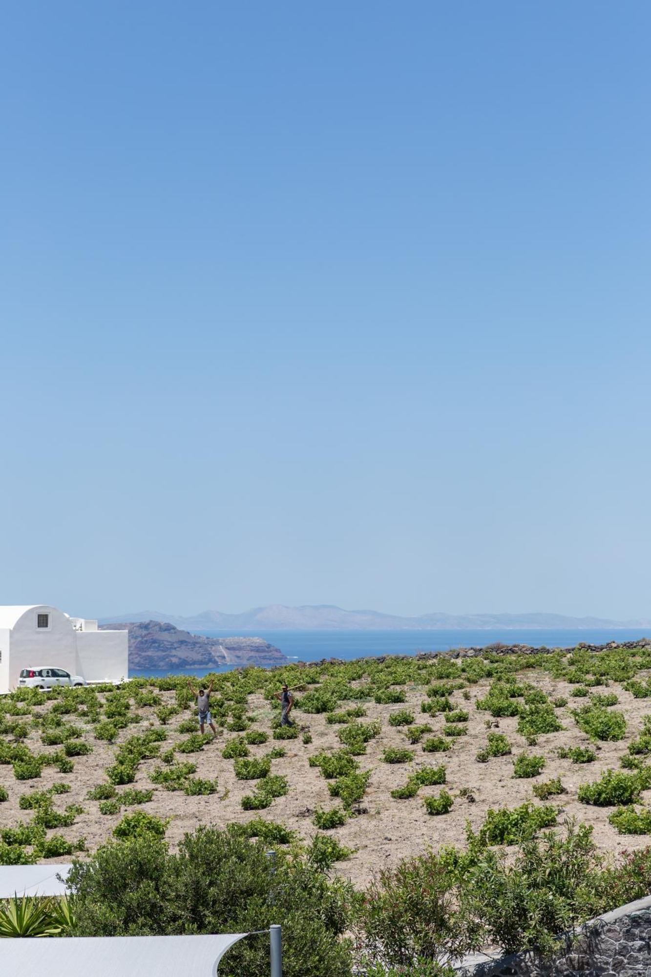 Soil Of Sun Luxury Villas Megalochori  Exteriör bild